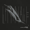 Turra,luigi / Martusciello,elio - Decay Music N9: Liminale - Vinyl Record