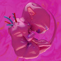 Nemuri,haru - Ekkolaptomenos - Music CD