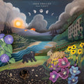 Real Warmth [LP] Vinyl Record