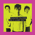 Cheater Slicks - Don't Like You - Vinyl Record