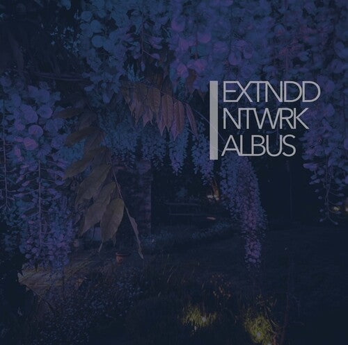 Extnddntwrk - Albus - Vinyl Record