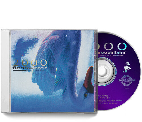 Fleshwater - 2000: In Search Of The Endless Sky - Music CD