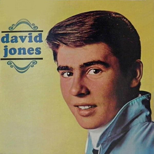 Davy Jones - David Jones - Vinyl Record