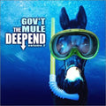 Gov't Mule - Deep End 2 - Music CD