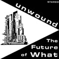 Future Of What Music CD