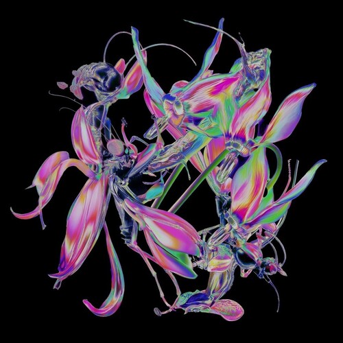 Kottis,theo - Drone - Vinyl Record