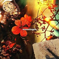Ikuma,kouji - Monologue - Music CD
