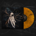 Despondency Chord Progressions (Blk) [Clear Vinyl] [180 Gram] Vinyl Record