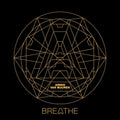 Van Buuren,armin - Breathe - Vinyl Record