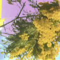 Four Tet - Into Dust (Still Falling) (Ep) [Indie Exclusive]
