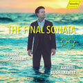 Bushakevitz,ammiel - Final Sonata - Music CD