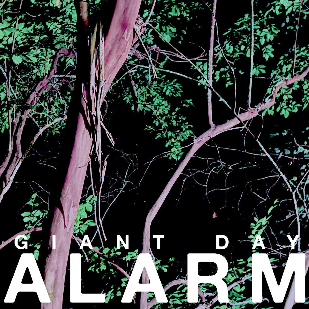Alarm [LP] Vinyl Record