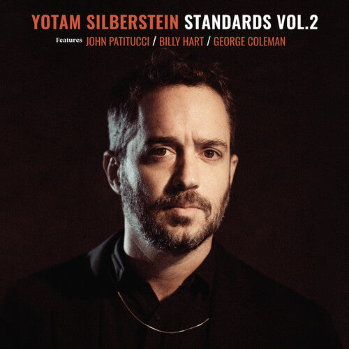 Silberstein,yotam - Standards 2 - Vinyl Record