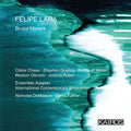 Felipe Lara: Brutal Mirrors (Various Artists) Music CD