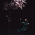As The Light Left [Colored Vinyl] [Limited Edition] Vinyl Record
