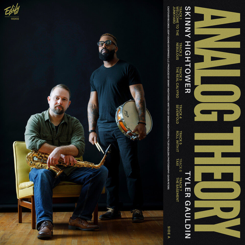 Analog Theory [LP] Vinyl Record