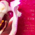 Trio Of Bloom - Trio Of Bloom - Music CD