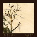 Chapel Glass [LP] Vinyl Record