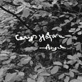 Hafana,cerys - Angel - Vinyl Record