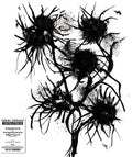 Comelade,pascal - Improperis: Compositions Et Enregistrements - Vinyl Record