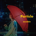 Accobin - Particle - Vinyl Record