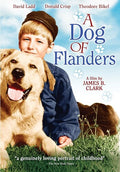 Dog Of Flanders - Dog Of Flanders - DVD