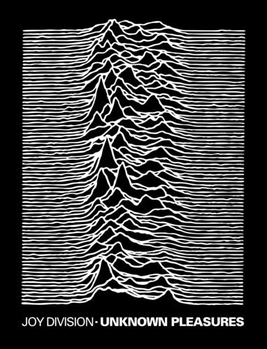 Rocksax Joy Division Blnk Unknown Pleasures 50x60 - Rocksax Joy Division Blnk Unknown Pleasures 50x60 - Special Products