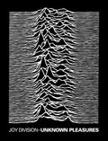 Rocksax Joy Division Blnk Unknown Pleasures 60x80 - Rocksax Joy Division Blnk Unknown Pleasures 60x80 - Special Products