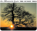 Mountain Goats - Sunset Tree - Vinyl Record