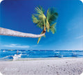 Allsop 31621 Naturesmart Mouse Pad Outrigger Beach - Allsop 31621 Naturesmart Mouse Pad Outrigger Beach - Computer Accessories