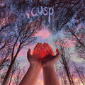 Cusp - What I Want Doesn't Want Me Back - Vinyl Record