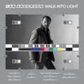 Anderson,ian - Walk Into Light - Vinyl Record