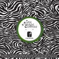 Ana Frango Eletrico - Sua Diversao / Nao Tem Nada Nao - Vinyl Record