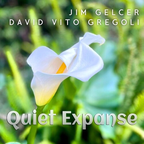 Gelcer,jim / Gregoli,david Vito - Quiet Expanse - Music CD