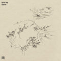 Kang,eyvind - Riparian - Vinyl Record