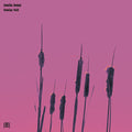 Kenney,jessika - Uranian Void - Vinyl Record