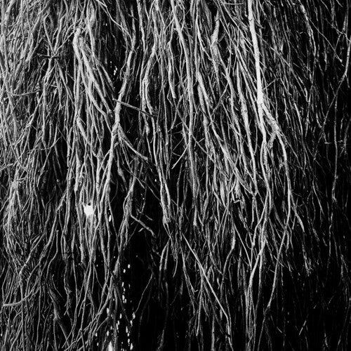 Bernocchi,eraldo / Cavalera,iggor / Merzbow - Nocturnal Rainforest - Vinyl Record