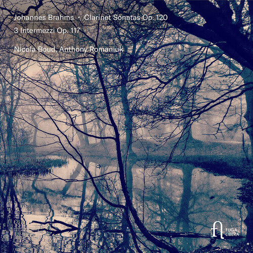 Boud,nicola - Brahms: Clarinet Sons Op. 120 & 3 Intermezzi Op. 1 - Music CD