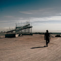 Salton Sea [Clear Vinyl] (Grn) Vinyl Record