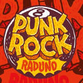 Punk Rock Raduno V8 / Various - Punk Rock Raduno V8 / Various - Vinyl Record