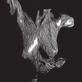 Oceansize - Self Preserved While The Bodies Float Up - Vinyl Record