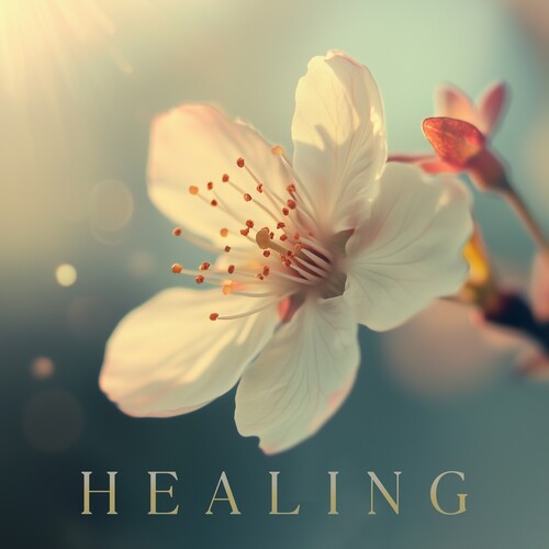 Healing / Various - Healing / Various - Music CD