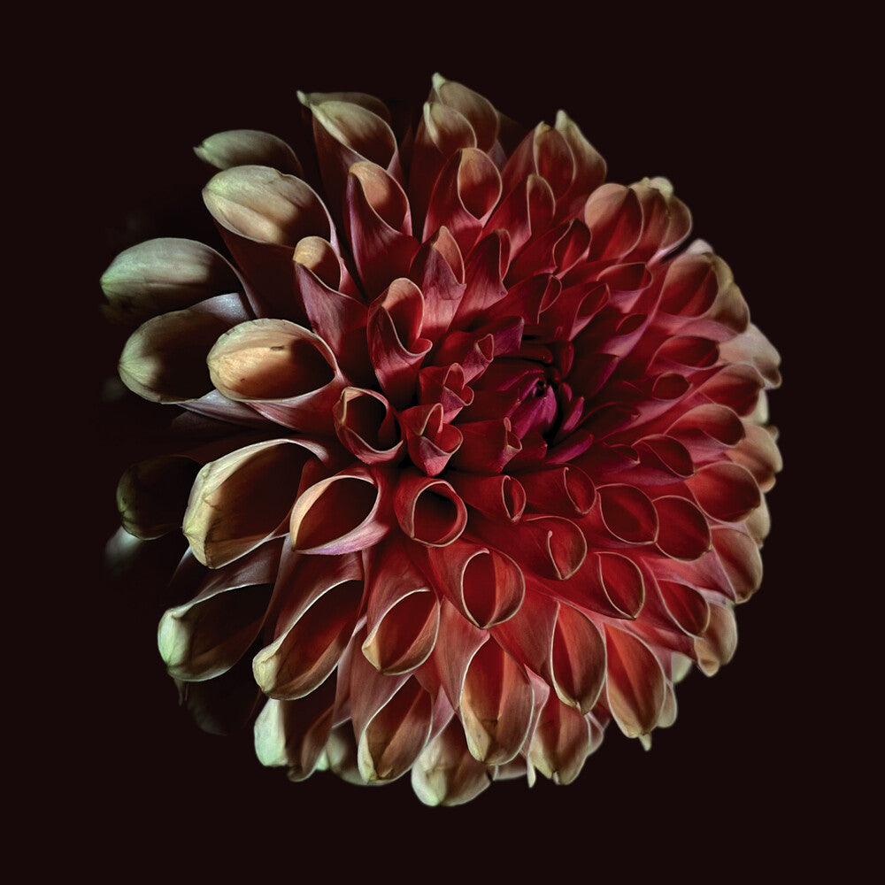 Jessica Moss - Unfolding [CD]