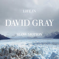 Gray,david - Life In Slow Motion (20th Anniversary Ed.) Blue - Vinyl Record