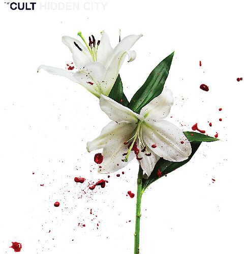 Cult - Hidden City - Vinyl Record