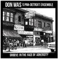 Was,don - Groove In The Face Of Adversity - Music CD