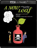 New Leaf - New Leaf - UHD