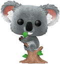 Pop Australian Animals - Pop Australian Animals Koala Fl - Collectibles