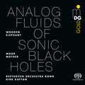 Moor Mother - Analog Fluids Of Sonic Black Holes - Vinyl Record
