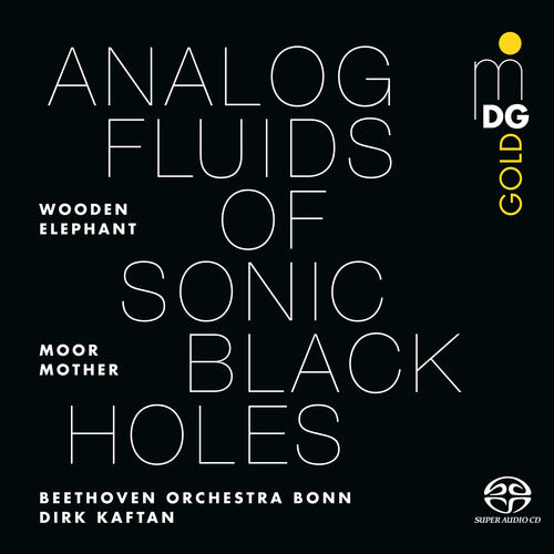 Moor Mother - Analog Fluids Of Sonic Black Holes - Vinyl Record